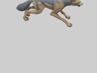 Jackal prowling model Low-poly 3D model