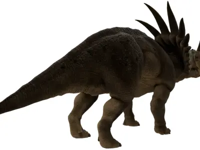 Styracosaurus 3D model purchase
