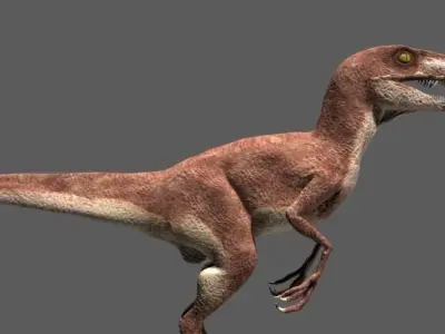 JP Velociraptor - 3d model 3D model