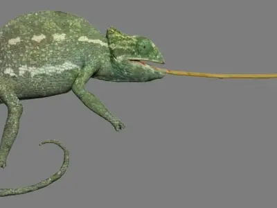 REPTILE lizard 3D model