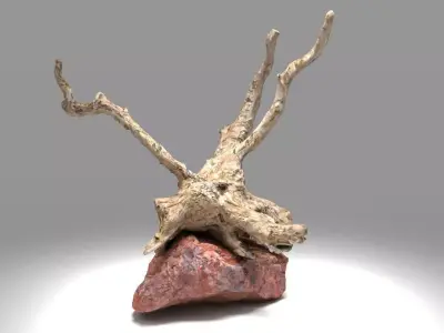 Decorative stone and plant 3D model