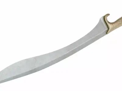 Falcata 3D model