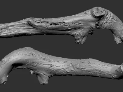 Withered Tree trunk wood 3d scan highpoly 3D model
