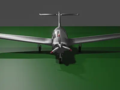 Piper arrow  Low-poly 3D model