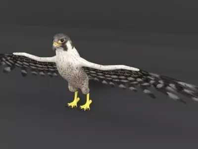 Falcon with wings spread Low-poly 3D model