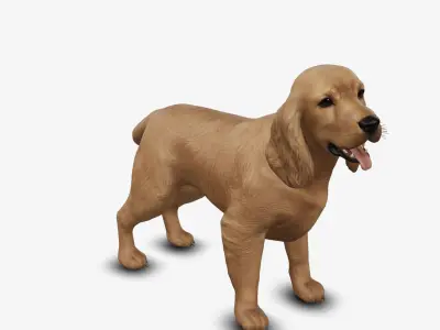 dog cocker spaniel Low-poly 3D model