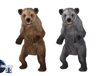 Animal Bear Rigged-Animated Pack Lowpoly 3d model Low-poly 3D model