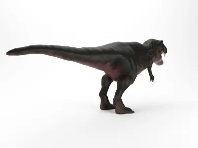 TIRANOSAURUS REX 3D model