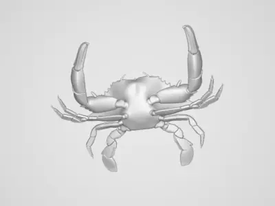 BlueCrab 3D model