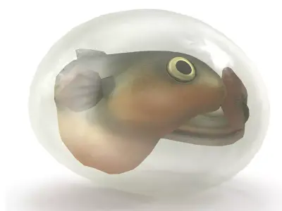 Fish larva Low-poly 3D model