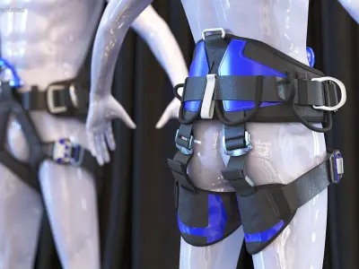 Sit Climbing Harness Standard 3D model