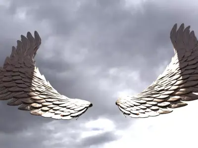 Serafim Wings 6 3D model