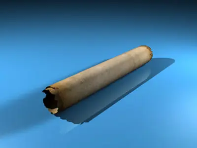 Papyrus cigar 3D model