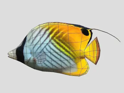 Auriga Butterflyfish Realistic Animated Low-poly 3D model