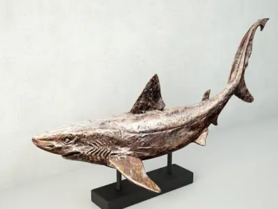 Relief of a Swimming Shark 3D model