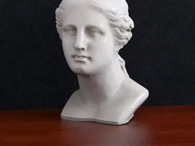 Bust Venera Godless woman  3D print model