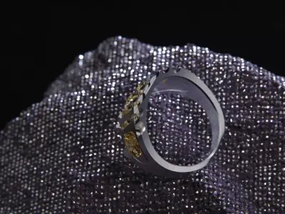 Crystal Geometry ring vol2 3D model