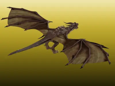Dragon Wyvern  3D model