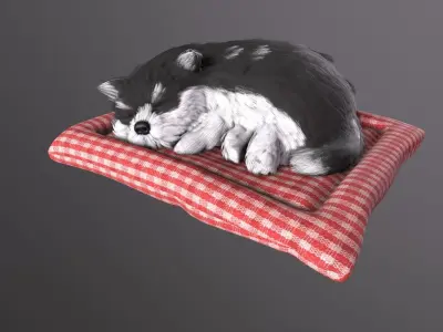 jewelry accessory dog  Low-poly 3D model