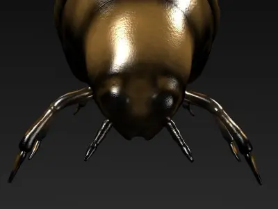 Beetle 3D model shop