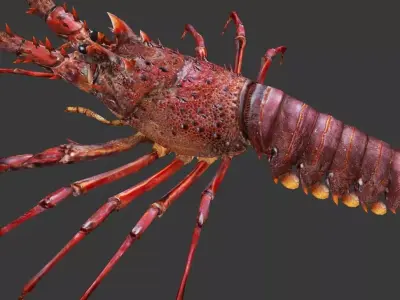 Australian lobster Low-poly 3D model
