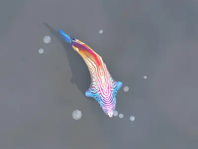 Marine Angelfish 3D model