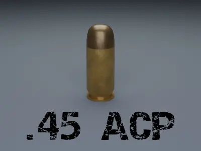 Common Bullet Types 3D model