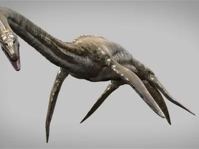 Elasmosaurus Rigged Low-poly 3D model