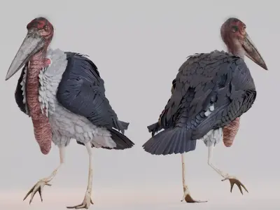 Realistic Animals Savannah - Marabou stork Low-poly 3D model