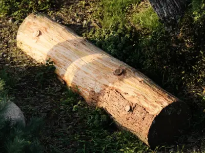  Small Cut Bare Log Model 