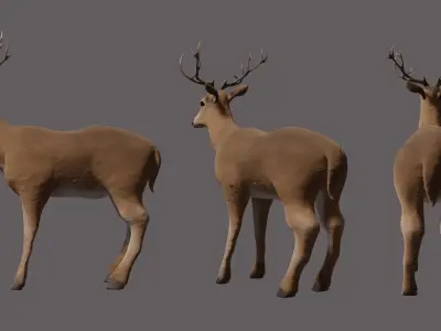 Deer 3D model with antlers Low-poly 3D model