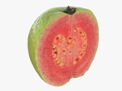 Pink Guava Collection 2 3D model