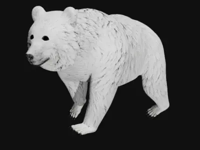 Polar Bear Low-poly 3D model