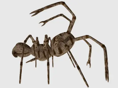 Spider Monster - Game Ready Low-poly 3D model