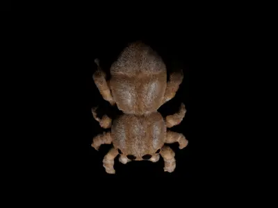 Jumping spider Free low-poly 3D model