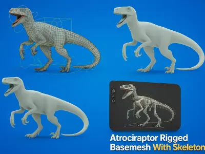 Atrociraptor Rigged Skeleton Low-poly 3D model