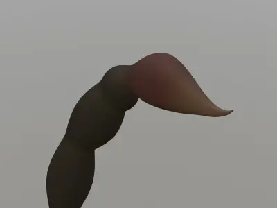 Scorpion 3D model shop