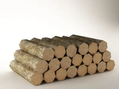 Woods 01  3D model