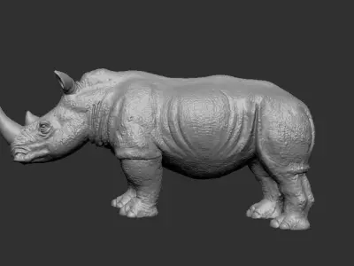 Rhinoceros model 3D model