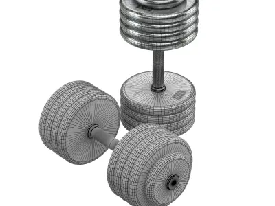 A set of 20 dumbbells from 5 to 100 kg 3D model