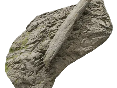  Giant Log Beach Rock Model 