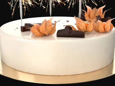 Celebration Mousse Cake with Sparklers and Physalis Decoration 3D model