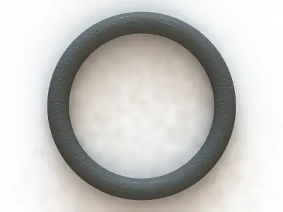 O Ring Vedabras 12495 3D model