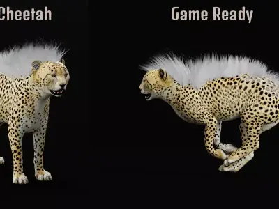 Young Cheetah Animal Free 3D model