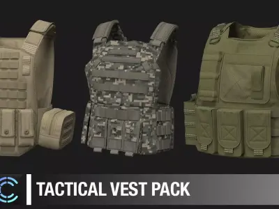 3 Tactical vest pack  Marvelous Designer project 3D model