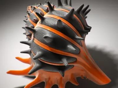 Shell orange and sea 3D model