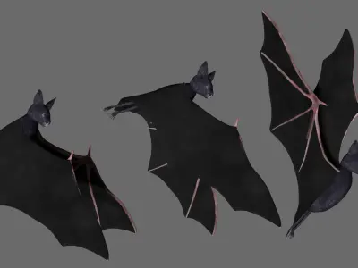 Bat with wings 2 Low-poly 3D model