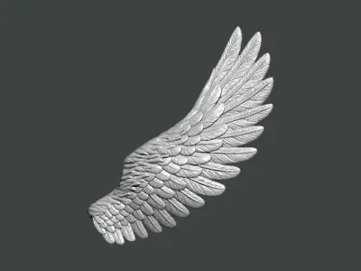 3D Model-WING0006 angel wing 3D print model