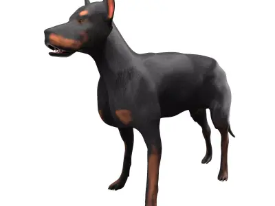 Doberman Low-poly 3D model
