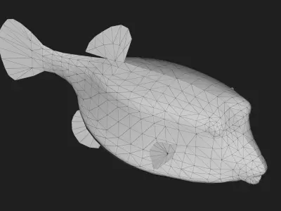 Boxfish Low-poly 3D model